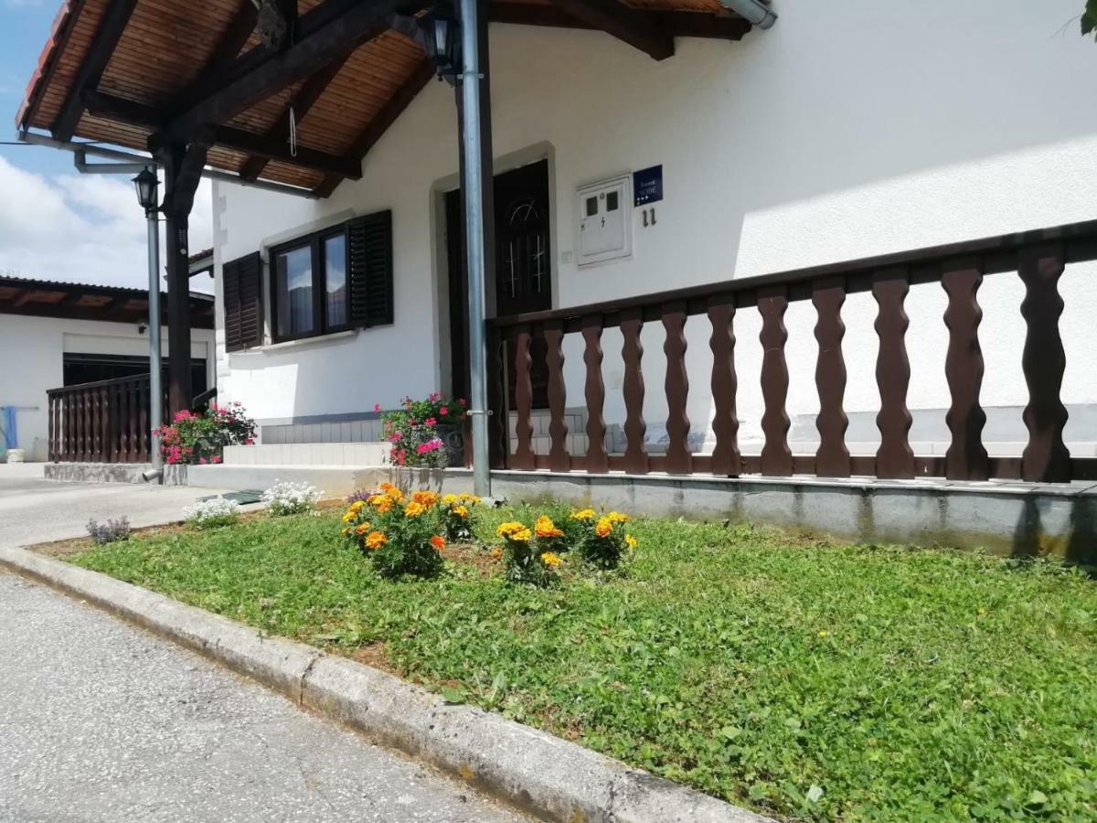 Отель House Viktoria Селиште-Дрежничко Экстерьер фото