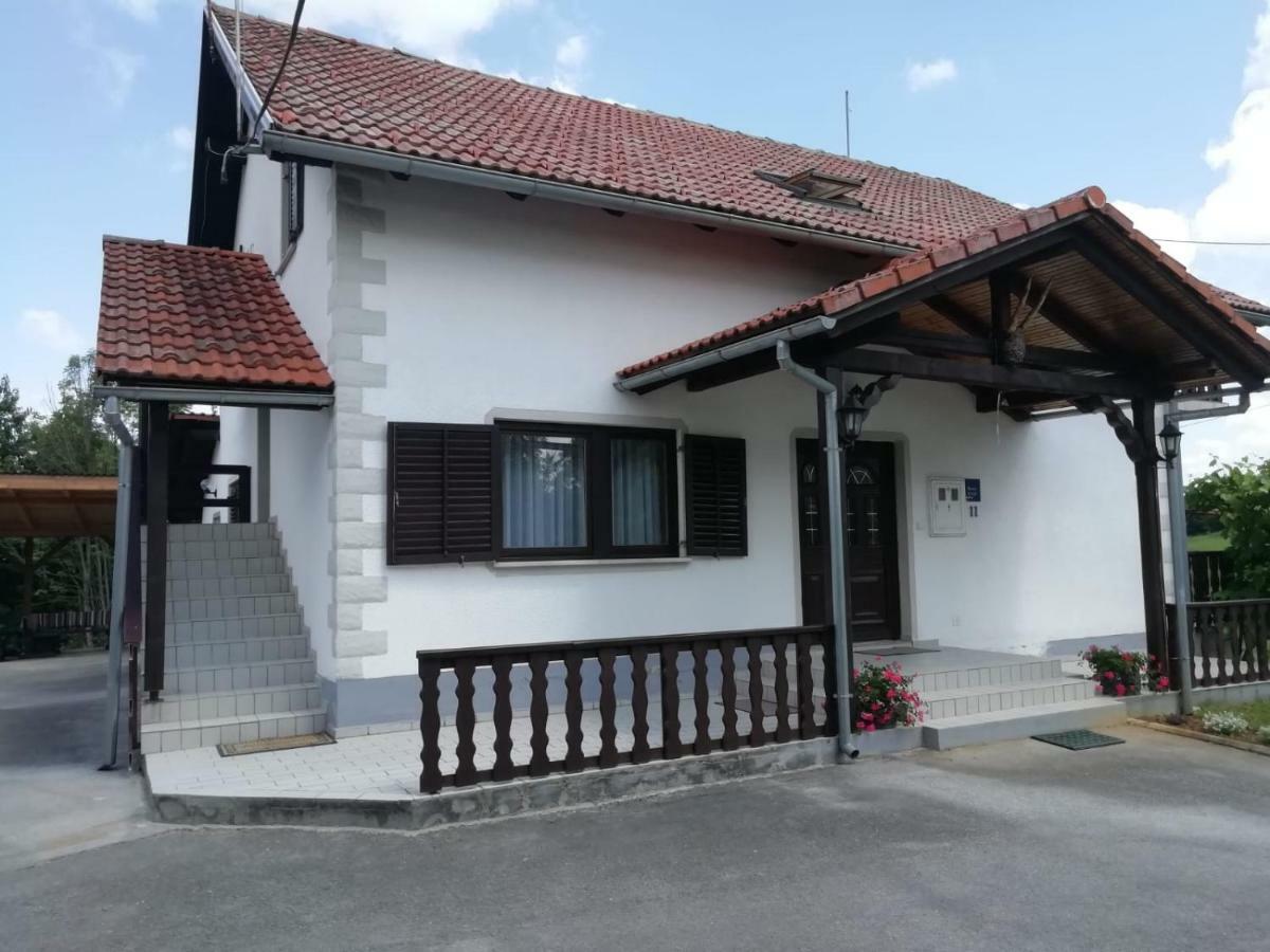 Отель House Viktoria Селиште-Дрежничко Экстерьер фото